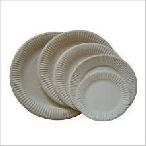 disposable paper plate