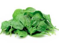 Spinach Powder