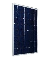 Bluebird Solar Polycrystalline PV Module 250 W