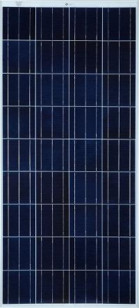 Bluebird 300 W Solar Polycrystalline PV Modules
