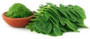 Organic Moringa Powder