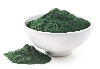 Spirulina Powder