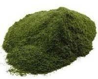 Neem Powder