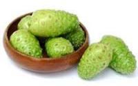 noni fruit