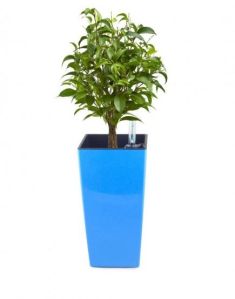 Self Watering Ices Hydro Planter Pots