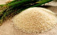 karnataka rice