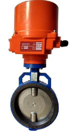 Motorized Valves