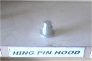 Hinge Pin Hood