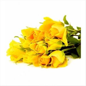 yellow roses