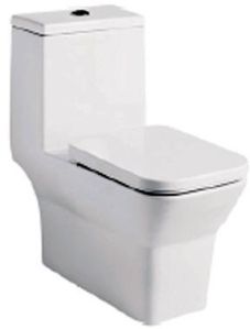 Single Piece Suite Water Closet