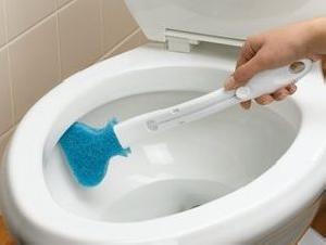 Toilet Scrubber