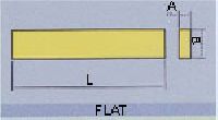 Putruded Flat Section