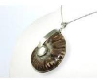 Ammonite Fossil Shells Pendant