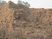 Paddy Straw Shredders