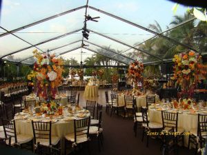 TRANSPARENT TENTS