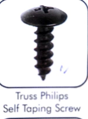 Self Tapping Screws