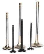 Engine Valves