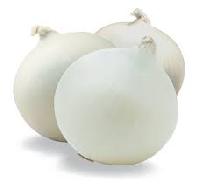 Fresh White Onion