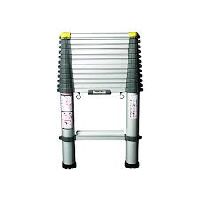 Telescopic Ladder