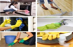 Hygiene Cleaning and Support Services