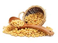 Soyabean