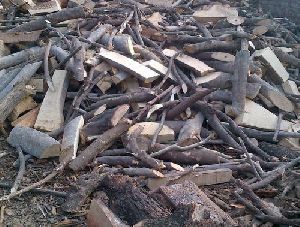 Babool Firewood