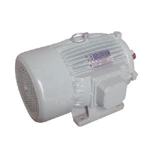 Floor Mounted Electric Motor