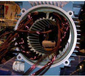 AC Induction Motor Rewinding Service