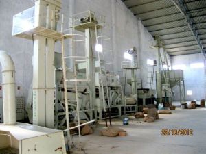 Sortex processing service