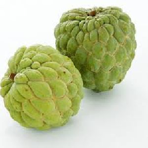 Custard Apple