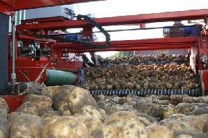 Potato Size Grader