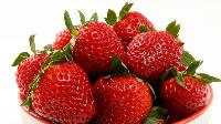 Fresh Strawberry