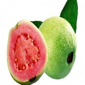 Red Guava