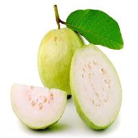 White Guava