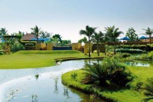 Hotels Landscape Garden Maintenance