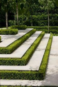 Landscape Garden Maintenance And Development