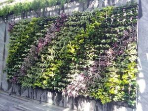 vertical garden