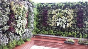 Vertical Green Wall