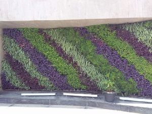 Vertical Indoor Garden