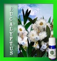 Eucalyptus Essential Oils