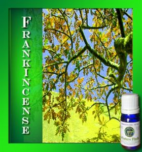 Frankincense Essential Oils