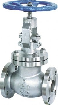 Ss Globe Valve