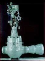 Double seated globe valve