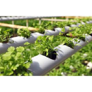 PVC Hydroponic Pipes