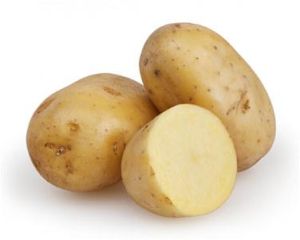 Potato