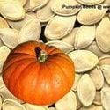 Pumpkin Seeds