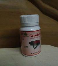 Ganoderma Capsules