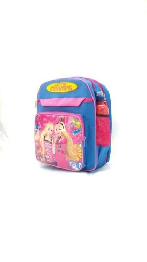 Blue Pink School Bags