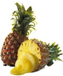 Processed Pineapple Products