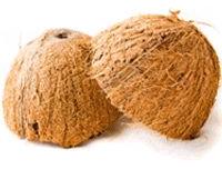 Coconut Shell